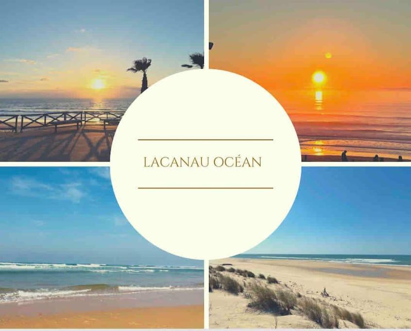 Cosy Studio Avec Vue Sur L'Ocean Lacanau Ngoại thất bức ảnh